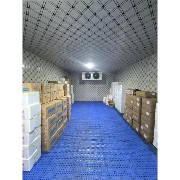 The amazing benefits of walking in a cold chamber