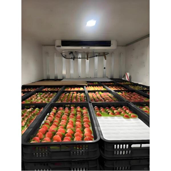 Salaadaha afka mid ka mid ah ee talo oo ku jiro bogga qarqadda talo