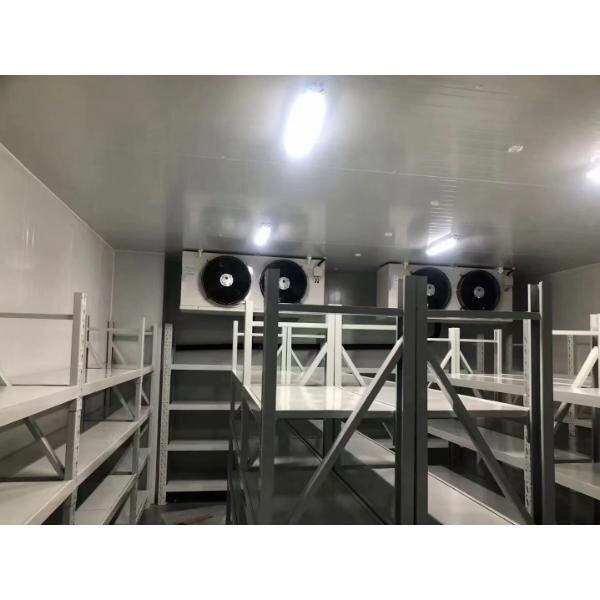 Bagaimana Ruang Pendingin Membantu Menjaga Kualitas Hasil Panen Anda