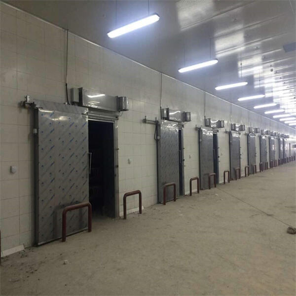 Safety in Cold Storage Chambers