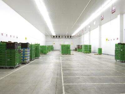 Why Cold Freezer Room Failures Often Start With the Door System