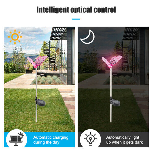 Durable and Beautiful Solar Lights for Every Garden