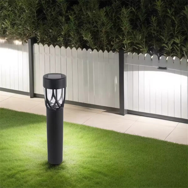 Utilizing Solar Lights in Your Yard