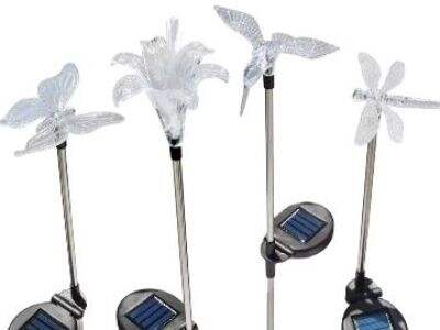 Light up your garden with solar landscape lights