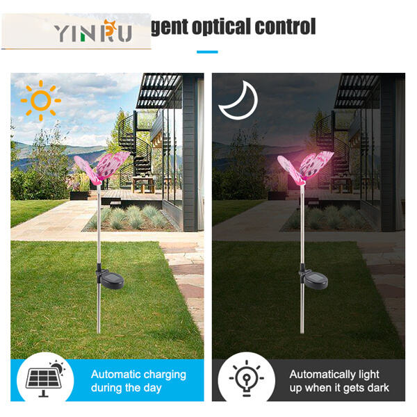 Transform Your Backyard into a Blissful Oasis with Solar Decor Lighting