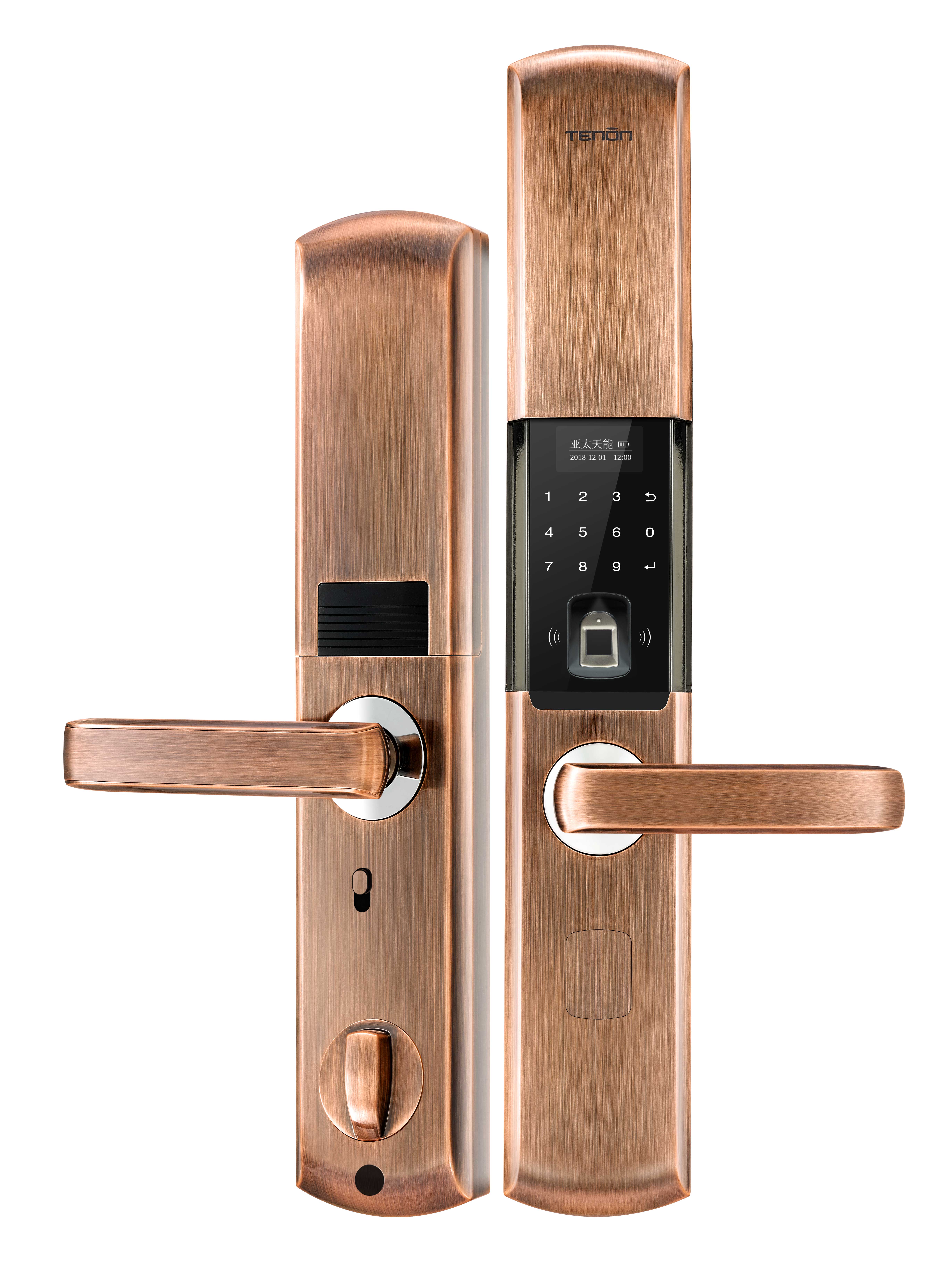 Smart Bluetooth Keyless Door Lock Thailand Weatherproof Electronic Lock Home Hotel USB/Battery Power Source OLED App Control manufacture