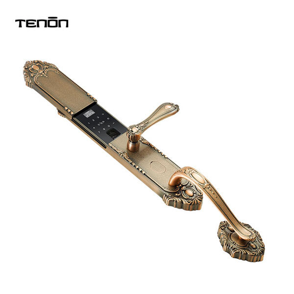 The Unbeatable Security of a Thumbprint Door Handle