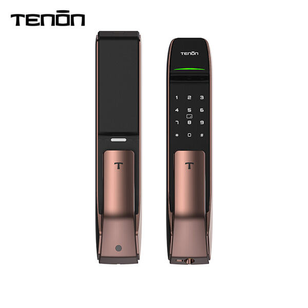 Embracing the Future with Automatic Door Locks
