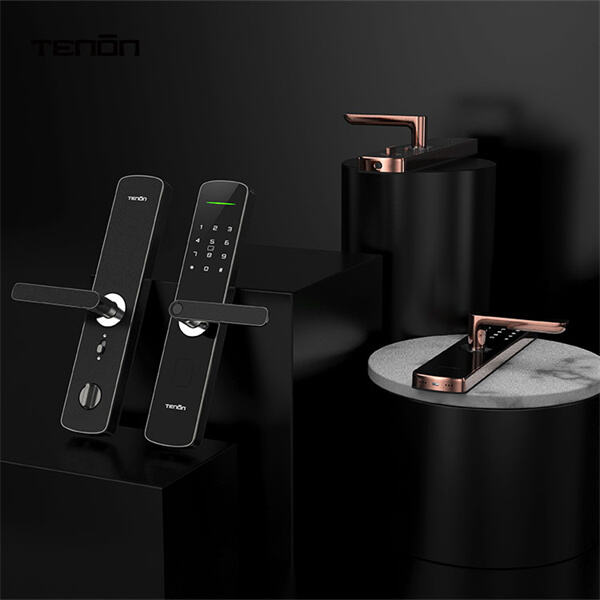 Maintenez la sécurité de vos proches grâce à des serrures à reconnaissance digitale faciles à utiliser