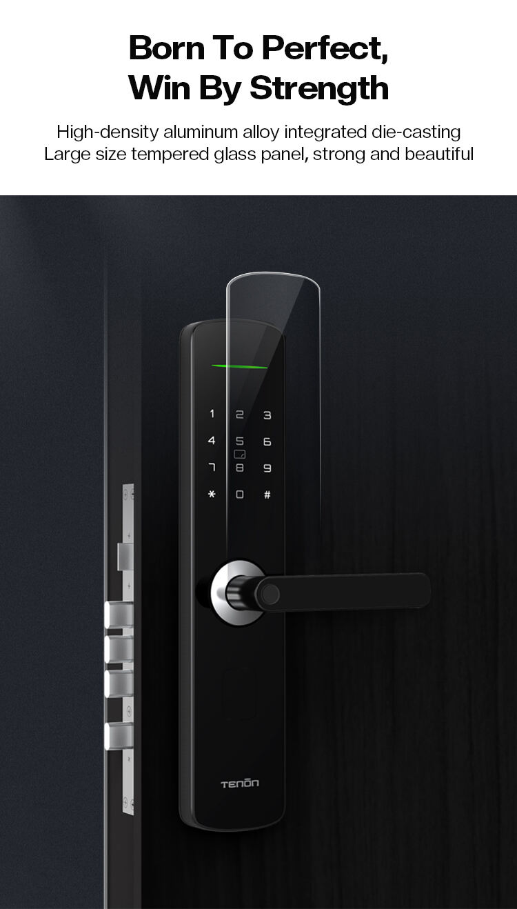 Smart Home Electronic Keyless Entry System New Design Bluetooth Tuya App Fingerprint Door Lock Aluminum Door Handle New Design details