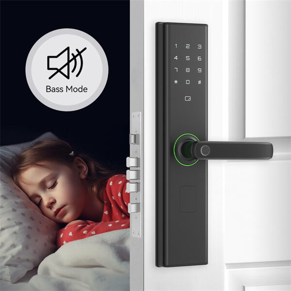 Say Goodbye to Traditional Keys with a Front Door Smart Door Lock