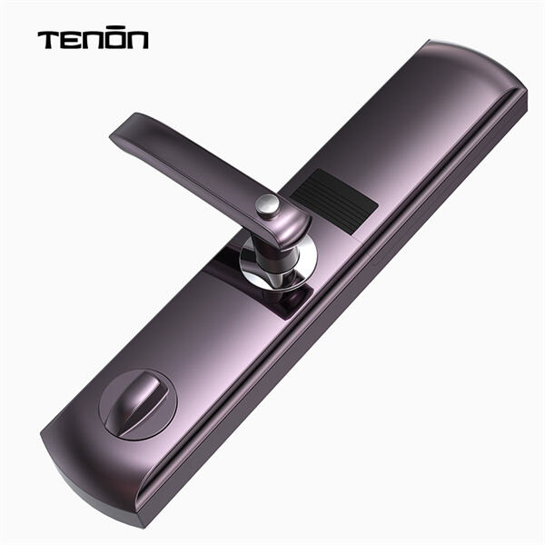 현대적인 지문 도어 노브 기술로 가족의 안전을 지키십시오