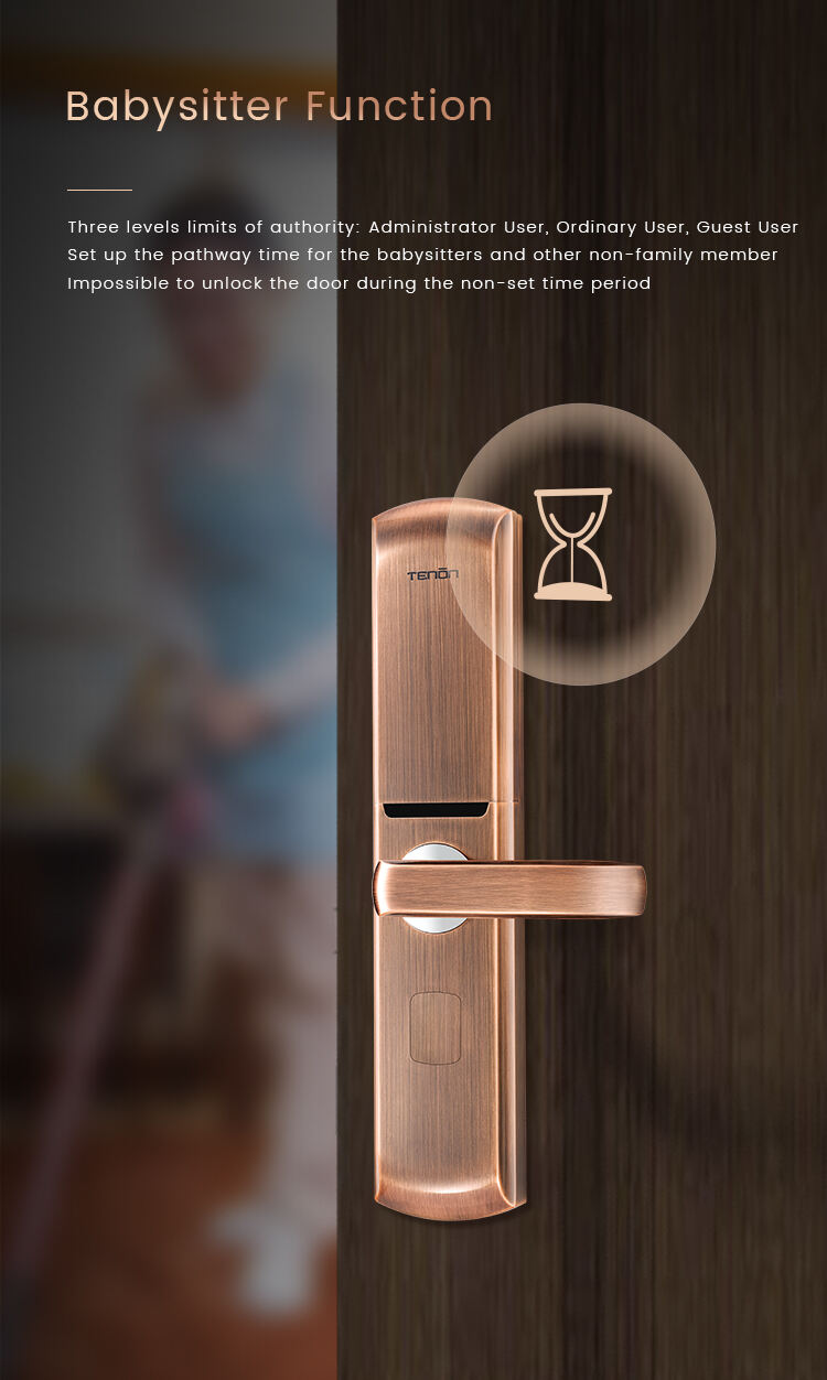 Smart Bluetooth Keyless Door Lock Thailand Weatherproof Electronic Lock Home Hotel USB/Battery Power Source OLED App Control manufacture