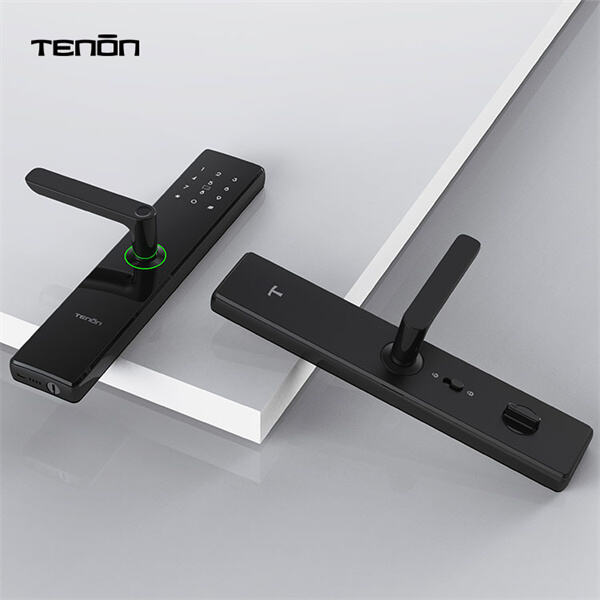 Enhance your home security with biometric interior door locks