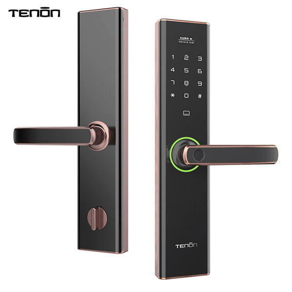 Protect your home with advanced keyless entry door lock