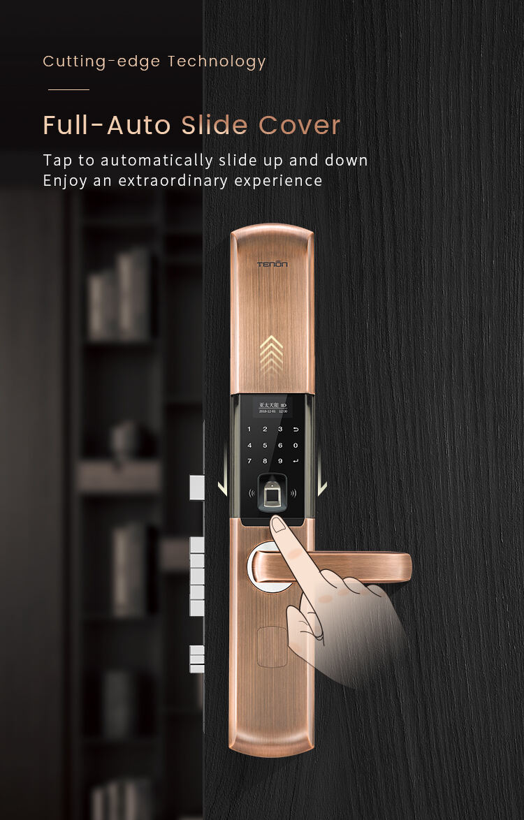 Smart Bluetooth Keyless Door Lock Thailand Weatherproof Electronic Lock Home Hotel USB/Battery Power Source OLED App Control supplier