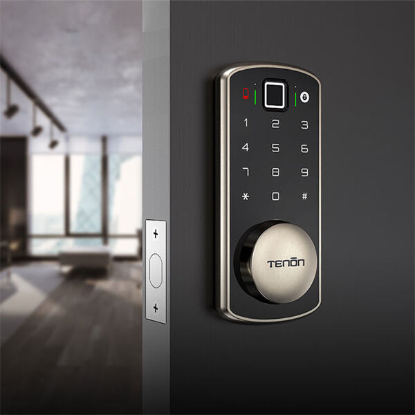 L'avenir de la sécurité domestique avec les serrures électroniques