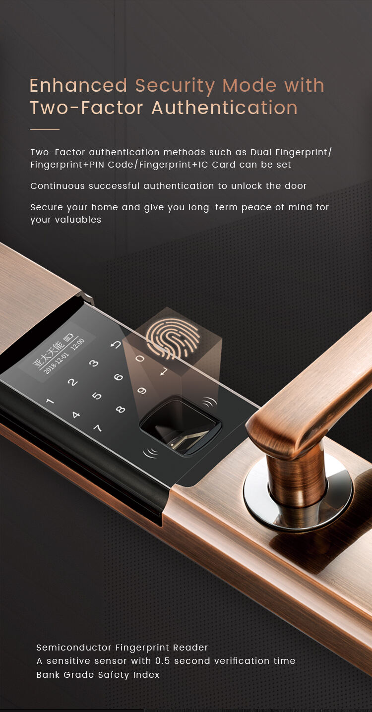 Smart Bluetooth Keyless Door Lock Thailand Weatherproof Electronic Lock Home Hotel USB/Battery Power Source OLED App Control factory