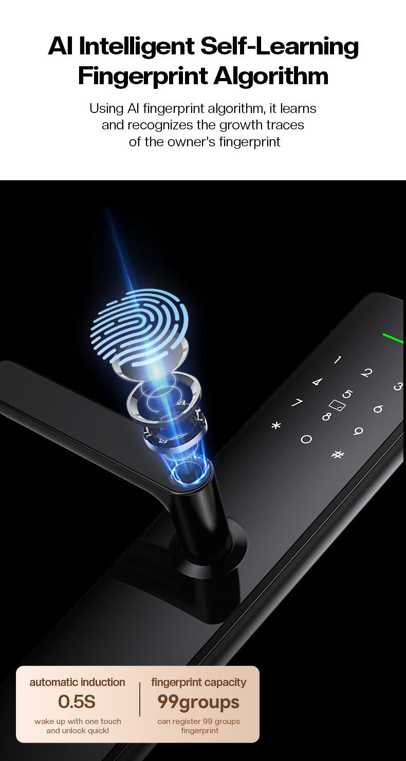 European Electronic Smart Keyless Entry System Door Lock Fingerprint Password Home Apartment Best Keypad Door Lock Tuya manufacture