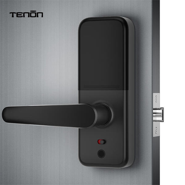 Why You Should Upgrade to an Entry Door Smart Lock?