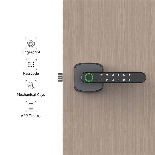 Access control at your fingertips with a smart locking door handle