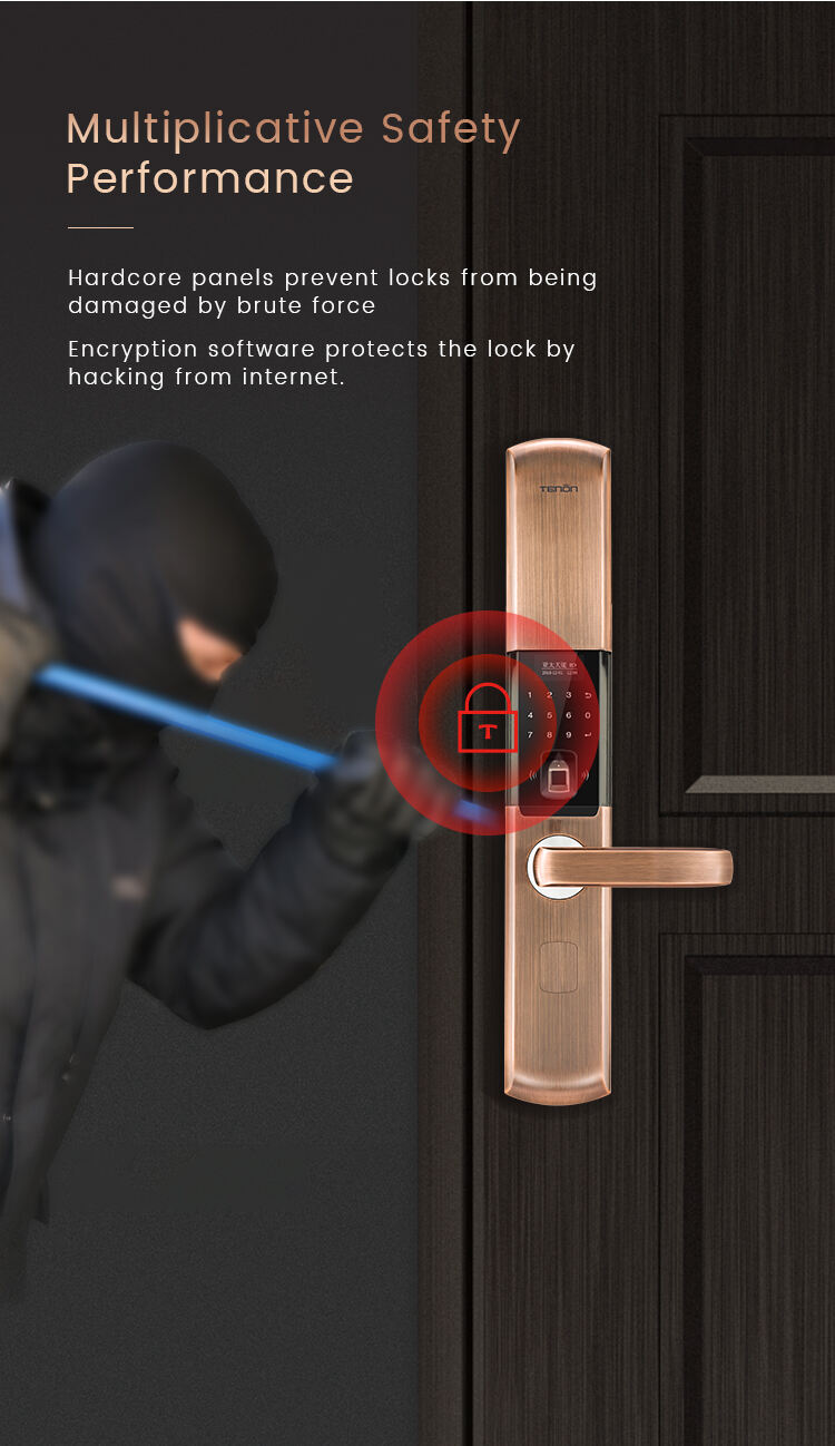 Smart Bluetooth Keyless Door Lock Thailand Weatherproof Electronic Lock Home Hotel USB/Battery Power Source OLED App Control manufacture