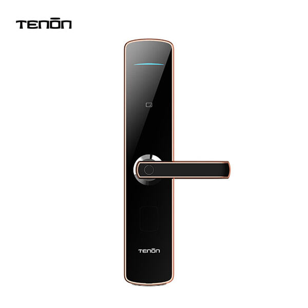 Embrace the Future with Fingerprint Handle Door Locks