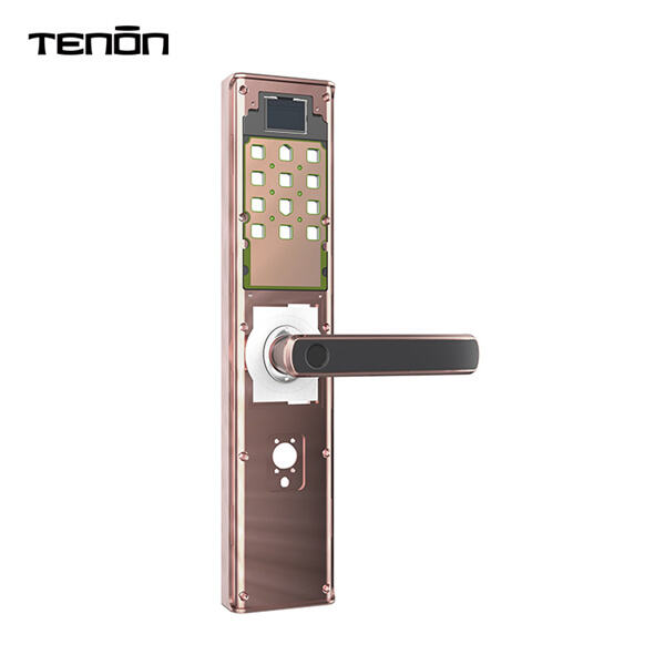 Upgrade Your Home's Security System with Advanced Biometric Technology