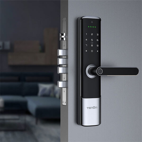 Biometric Doorlock for Added Home Protection