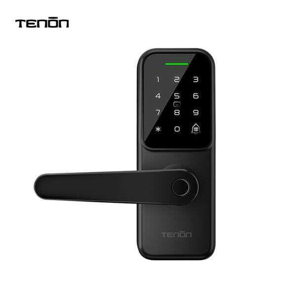 Embracing the Future with an Entry Door Smart Lock