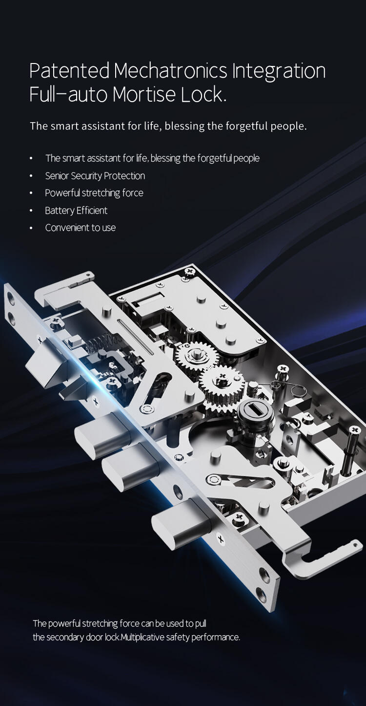 New Automatic Electric Rim Lock Anti Theft Double-sided Fingerprint Smart Lock Face Recognition Outdoor supplier