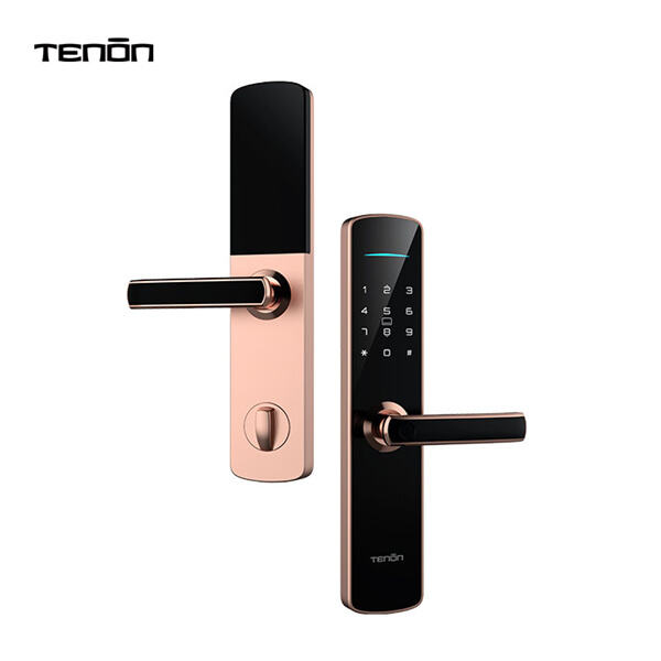 Mejora la seguridad de tu hogar con una cerradura de huella digital elegante y moderna para puertas exteriores.