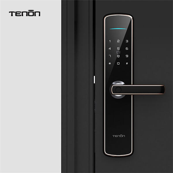 Accede a tu hogar de forma cómoda y segura con una cerradura de huella digital para uso exterior.