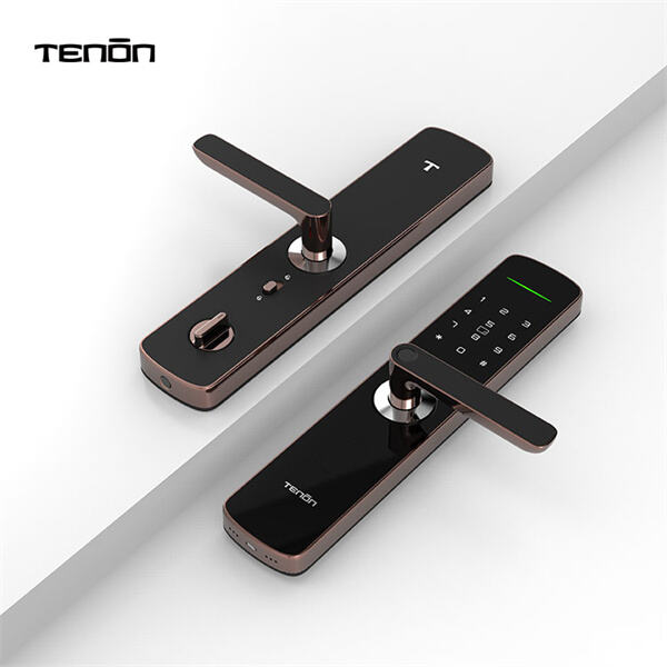Convenient and Reliable Fingerprint Security for Your Door