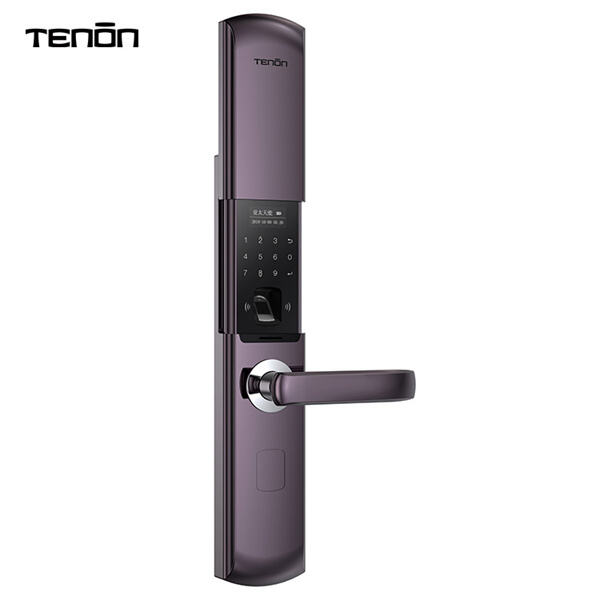 Upgrade your entryway with a stylish and high-tech fingerprint door handle option