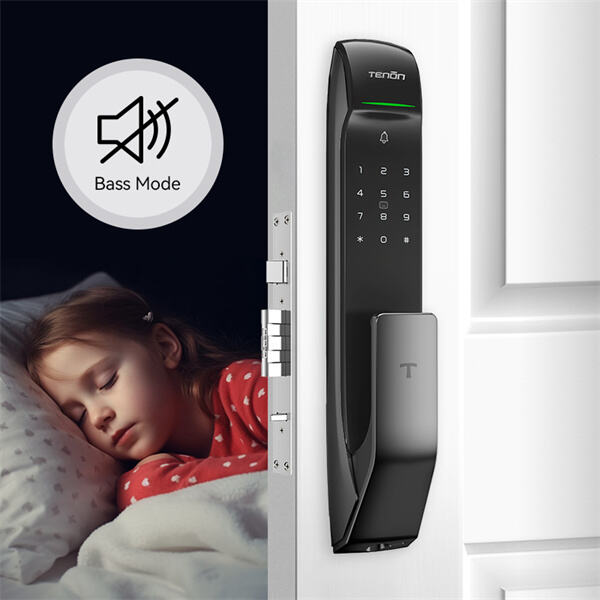 Convenient Access Control with an Electronic Front Door Lock