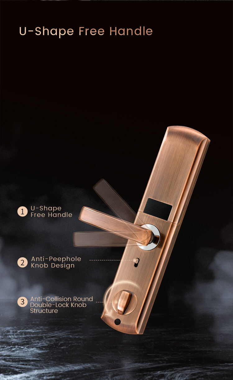 Smart Bluetooth Keyless Door Lock Thailand Weatherproof Electronic Lock Home Hotel USB/Battery Power Source OLED App Control factory
