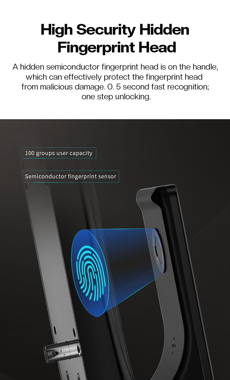 TENON A2 Smart Fingerprint Door Lock Push-Pull Feature WIFI RFID Network Aluminum Material Wood Compatible Smartphone Card Key factory