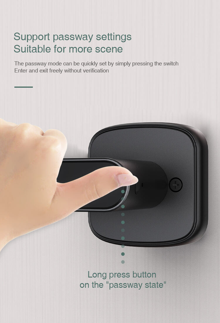 High Security Anti Theft Smart Keyless Thumbprint Biometric Lock Intelligent Electronic Deadbolt Lock Door Lever Handle Lock K1 details