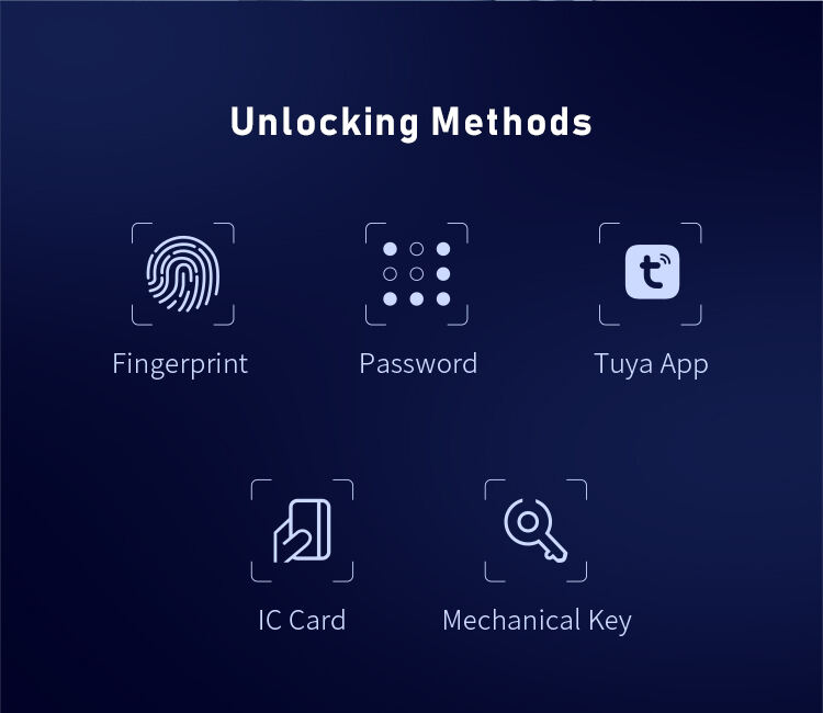 Antique Electric Tuya App Pull Push Automatic Smart Lock Passcode Digital Double Finger Print Smart Camera Door Lock details
