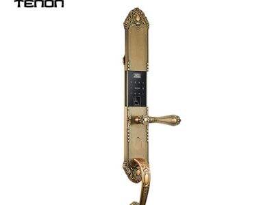 Exploring the Future of Building Automation with Smart Lock Integration