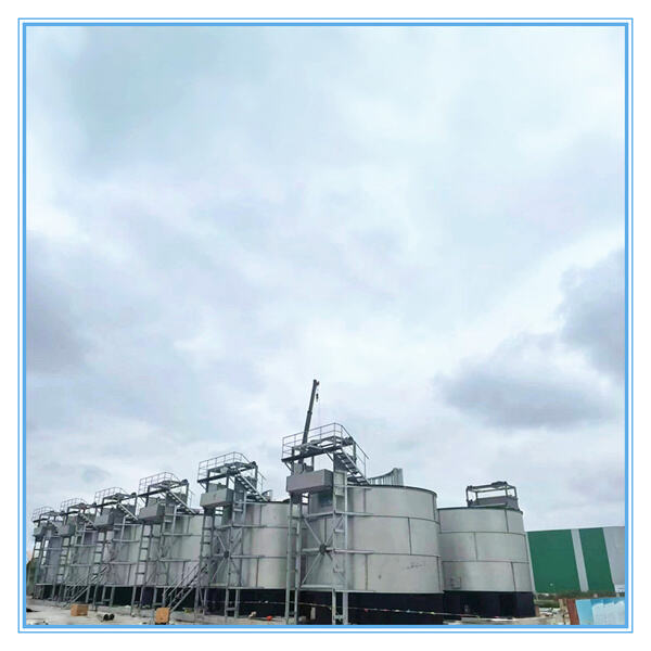 How to Use Bioreactors and Fermenters?