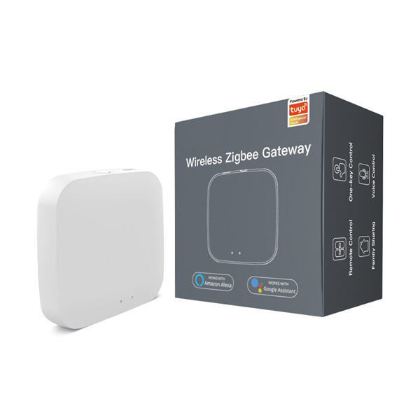 Sederhanakan otomatisasi rumah pintar Anda dengan teknologi gateway rumah terkemuka kami