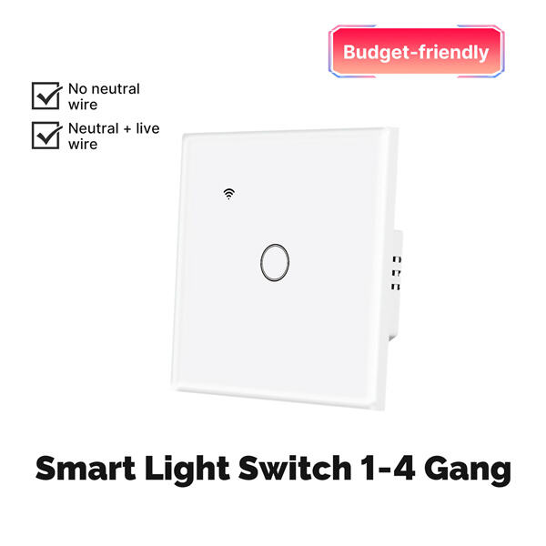 Transform Your Living Space with Our Energy-Efficient Smart Switches