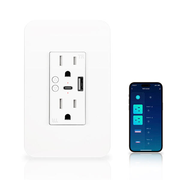 Monitor and Manage Your Home's Power Consumption with Our Smart Socke