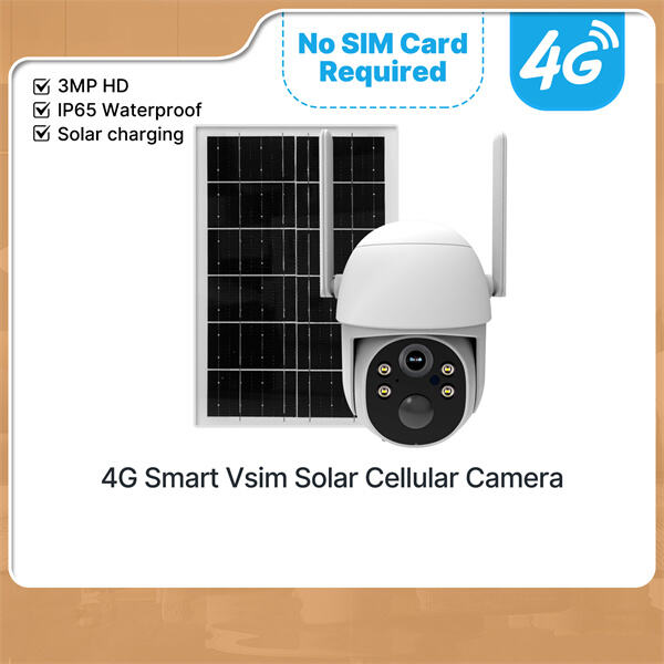 Protect Your Assets with State-of-the-Art IP Cameras