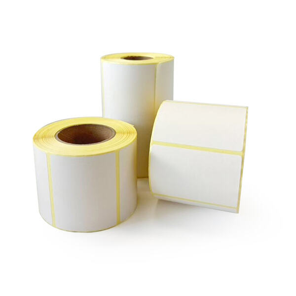 Eco-Friendly Materials for Sustainable Shipping Practices