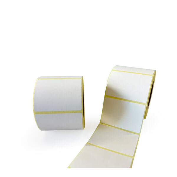 Durable and Weather-Resistant Materials for Long-Lasting Use