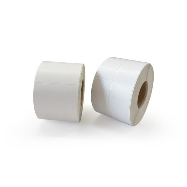 Improve Your Packaging Process with our Durable 4 x 6 Labels