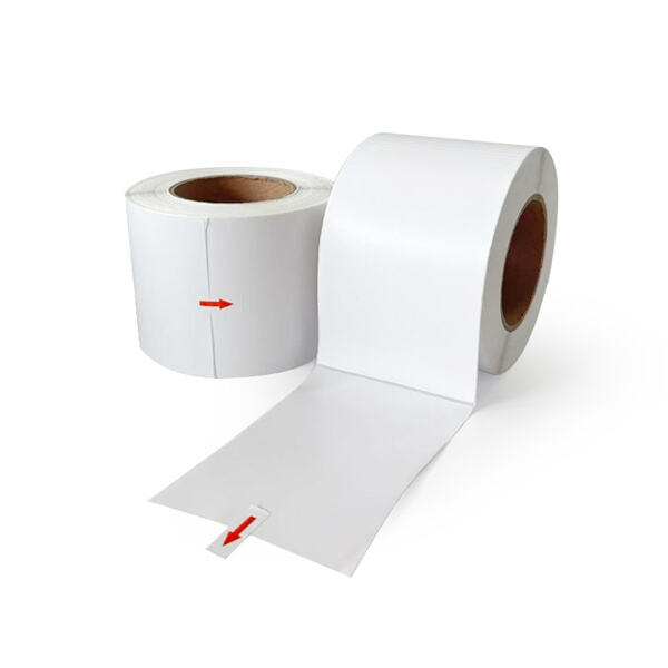 Eco-Friendly Options Available for Sustainable Businesses